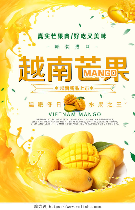 白色清新越南芒果水果芒果海报